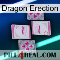 Dragon Erection 33